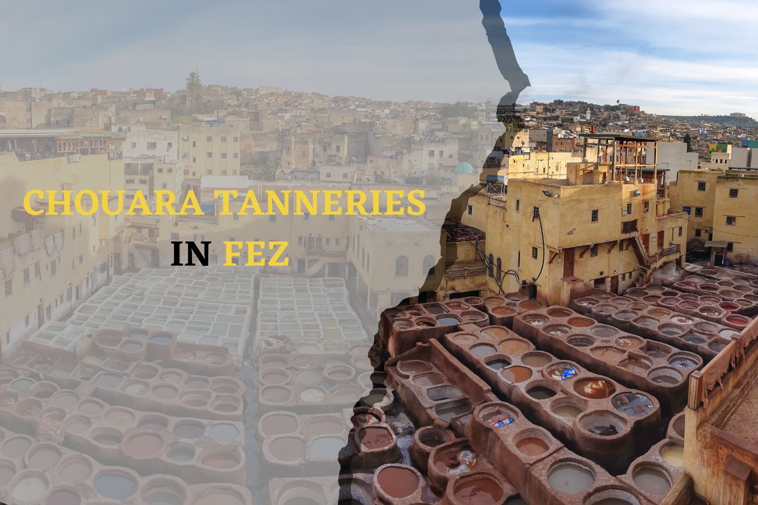 Chouara Tanneries in Fez